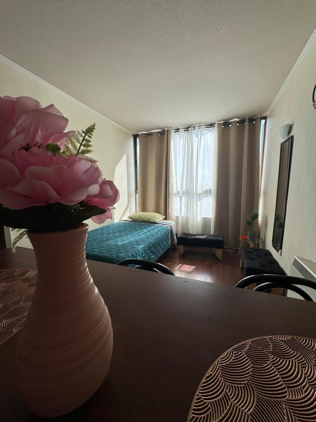 Apartamentos Orquidea Suite サンティアゴ エクステリア 写真